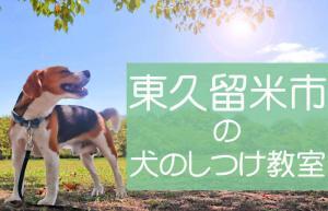 東久留米市の犬のしつけ教室｜おすすめのドッグスクールはココです！