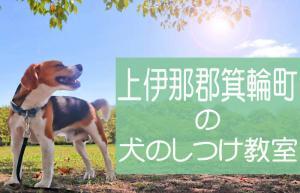 上伊那郡箕輪町の犬のしつけ教室｜おすすめのドッグスクールはココです！