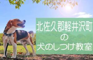 北佐久郡軽井沢町の犬のしつけ教室｜おすすめのドッグスクールはココです！