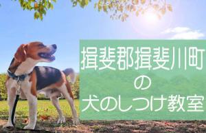 揖斐郡揖斐川町の犬のしつけ教室｜おすすめのドッグスクールはココです！