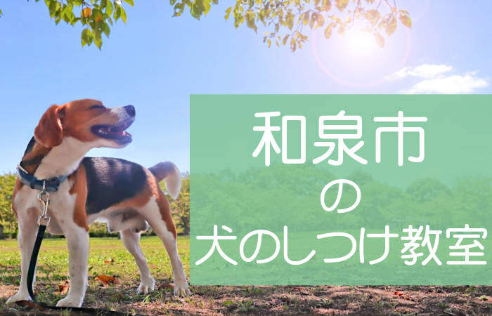 和泉市の犬のしつけ教室 おすすめのドッグスクールはココです