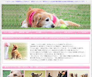 つくば市の犬のしつけ教室 おすすめのドッグスクールはココです