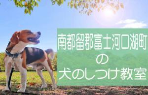 南都留郡富士河口湖町の犬のしつけ教室｜おすすめのドッグスクールはココです！